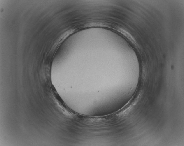 X0000067830849200604271552