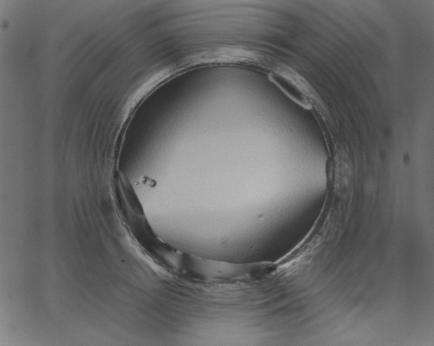 X0000067830850200604271552