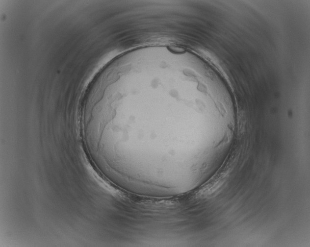 X0000067830851200604271552