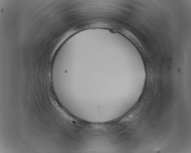 X0000067830852200604271552