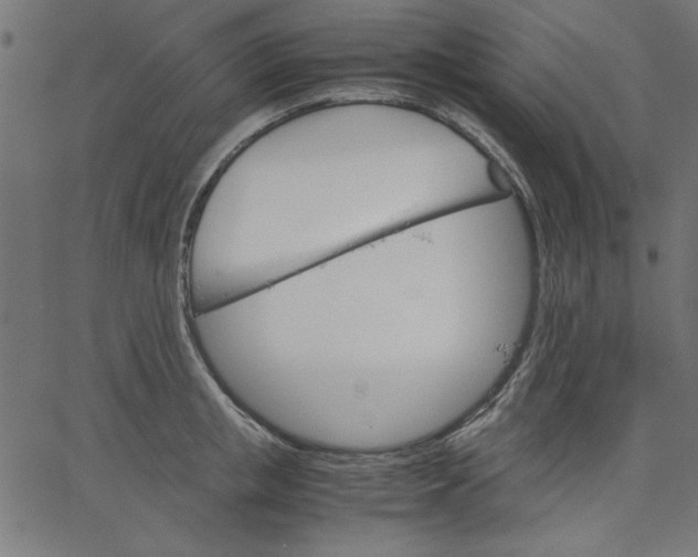 X0000067830853200604271552