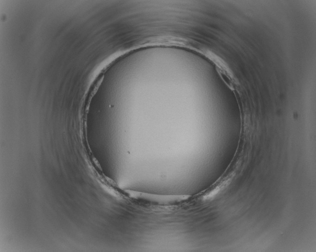 X0000067830854200604271552