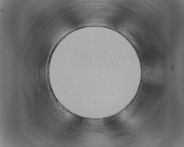 X0000067830856200604271552