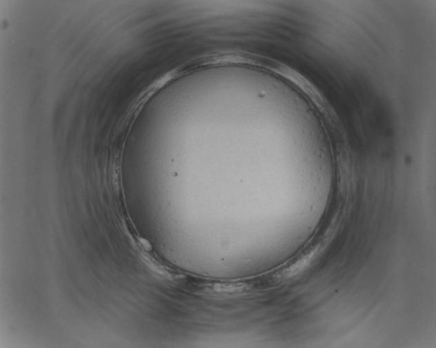 X0000067830857200604271552