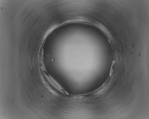 X0000067830858200604271552