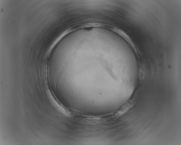 X0000067830859200604271552