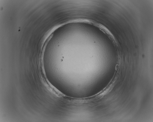 X0000067830860200604271553