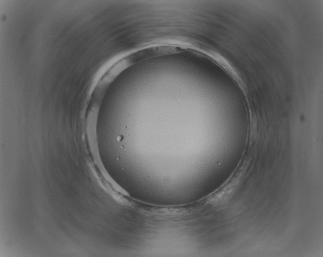 X0000067830862200604271553