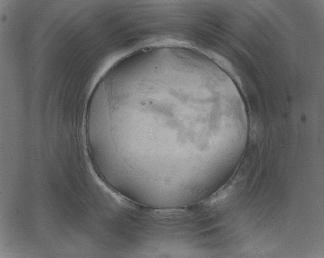 X0000067830863200604271553