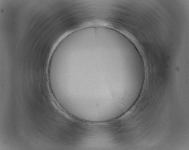 X0000067830864200604271553