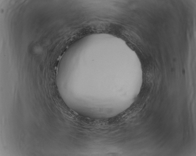 X0000067830865200604271552