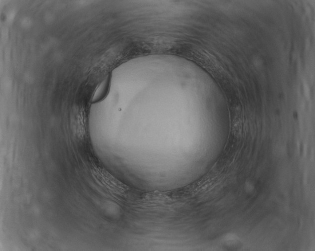 X0000067830866200604271552