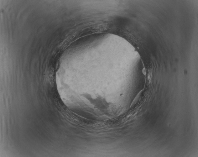 X0000067830867200604271552