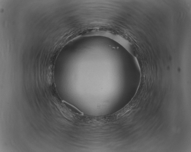 X0000067830868200604271552