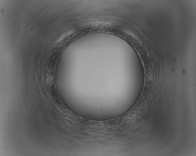 X0000067830869200604271552