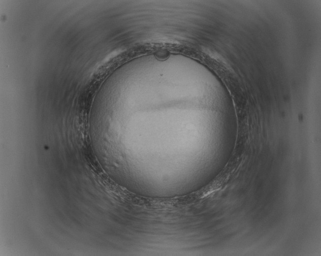 X0000067830870200604271552