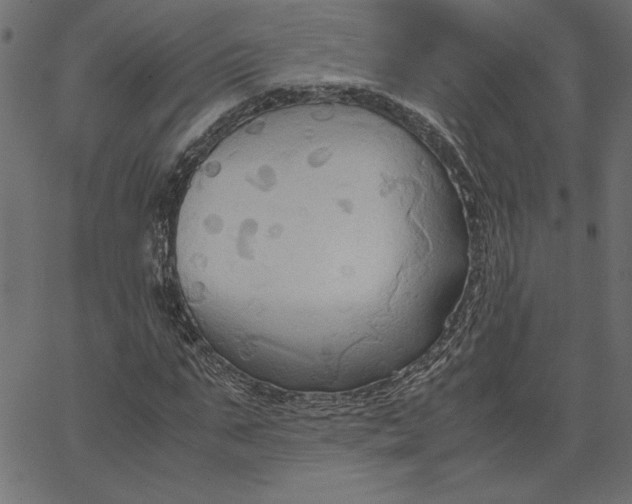 X0000067830871200604271552