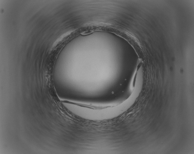 X0000067830872200604271552