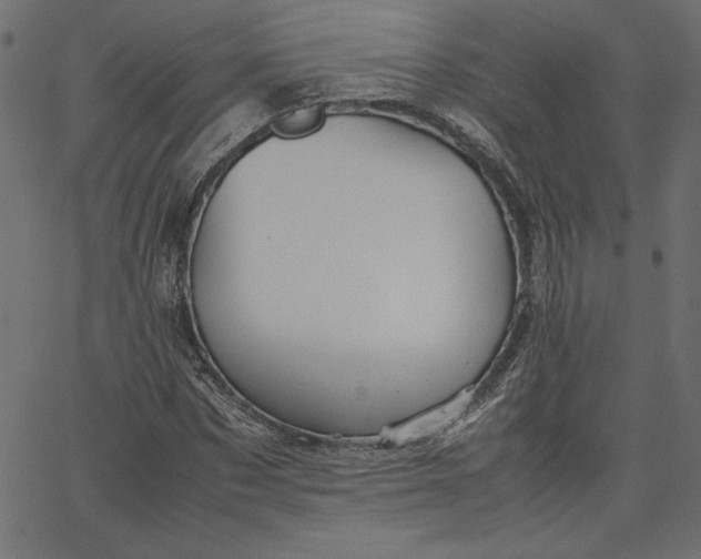 X0000067830873200604271552