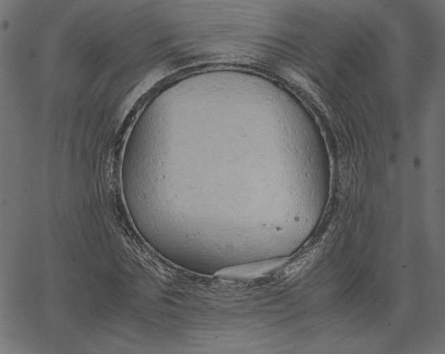 X0000067830875200604271552