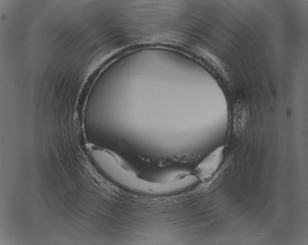 X0000067830876200604271552