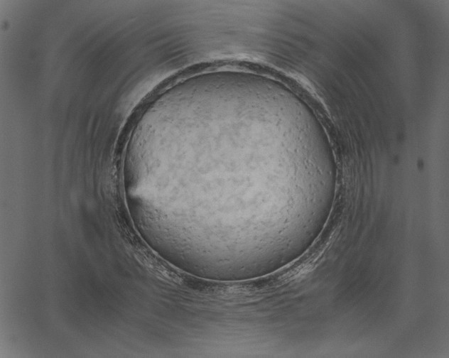 X0000067830879200604271552