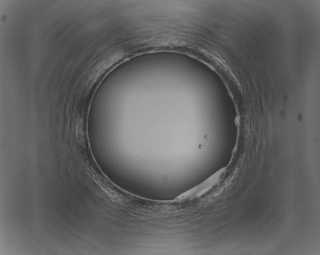 X0000067830881200604271552