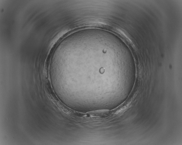 X0000067830883200604271552