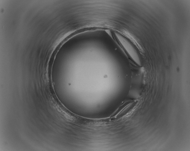 X0000067830884200604271551