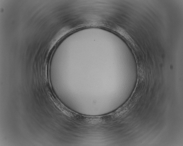 X0000067830886200604271551