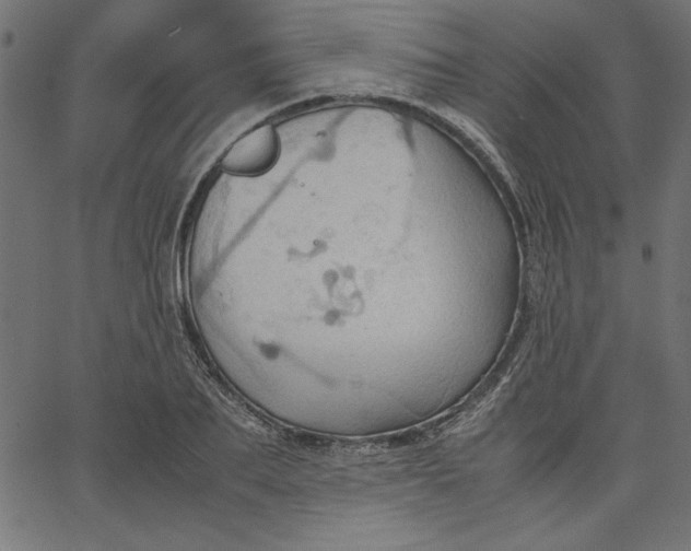 X0000067830887200604271551