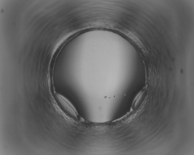 X0000067830888200604271551