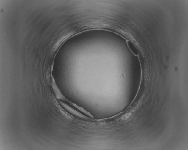 X0000067830889200604271551