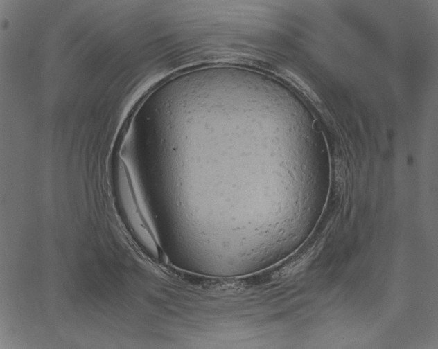 X0000067830891200604271551