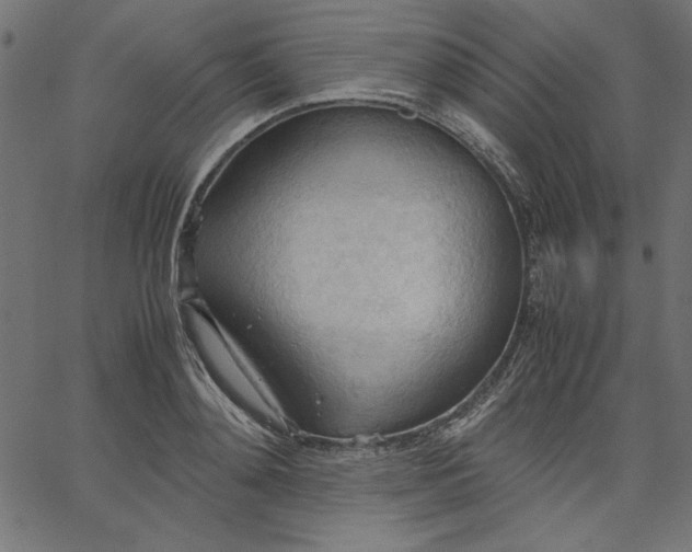 X0000067830892200604271551