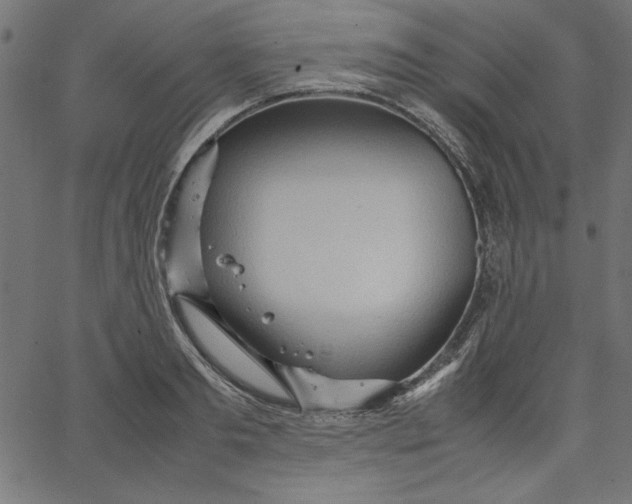 X0000067830893200604271551