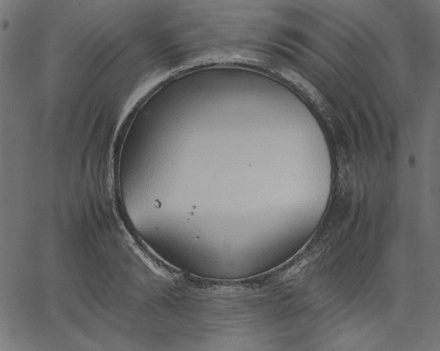 X0000067830894200604271551