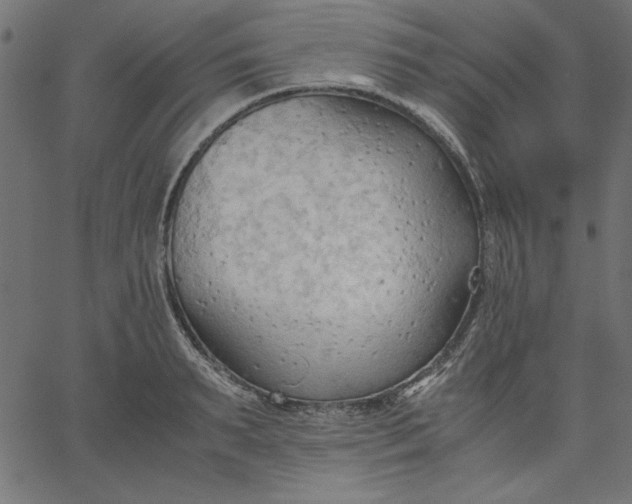 X0000067830895200604271551