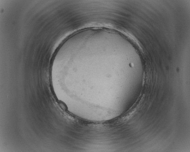 X0000067830896200604271551