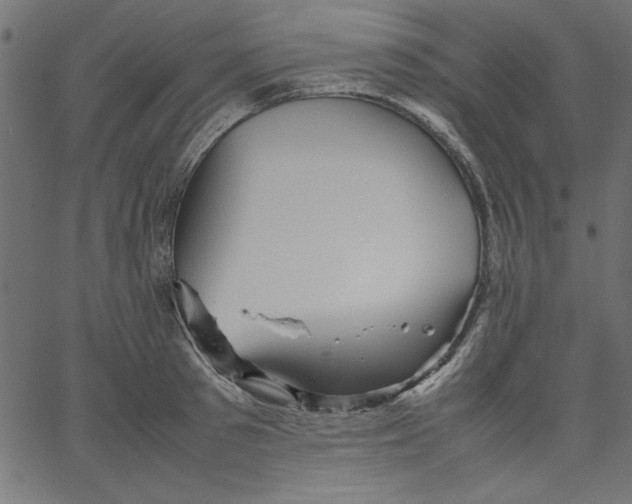 X0000067830897200604271551