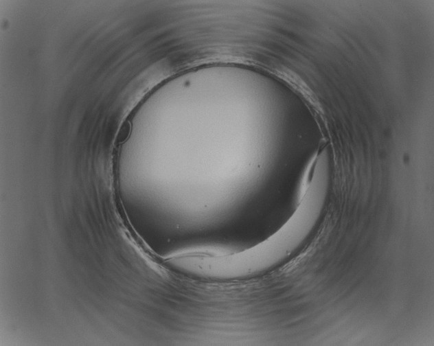 X0000067830898200604271551