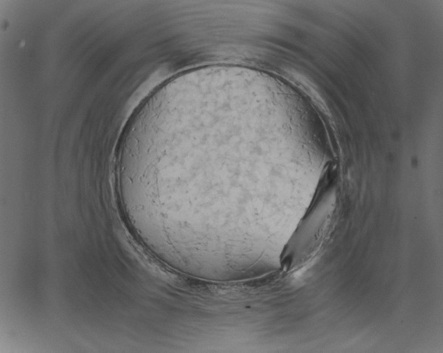 X0000067830899200604271551