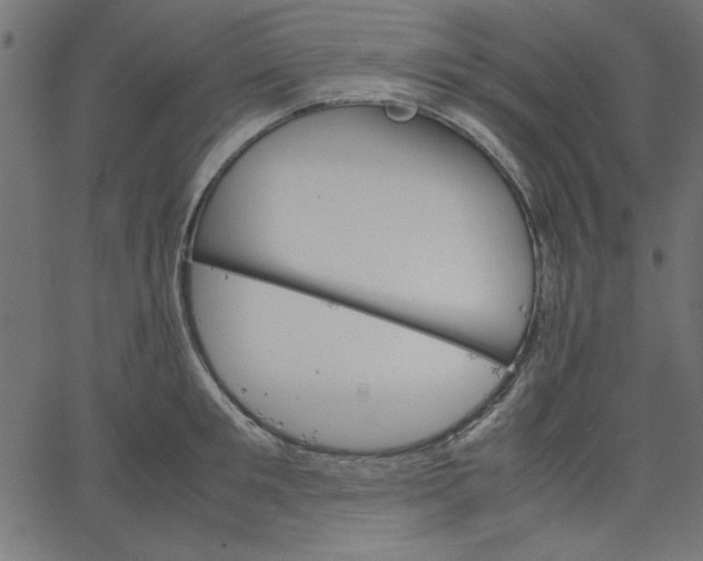 X0000067830901200604271551