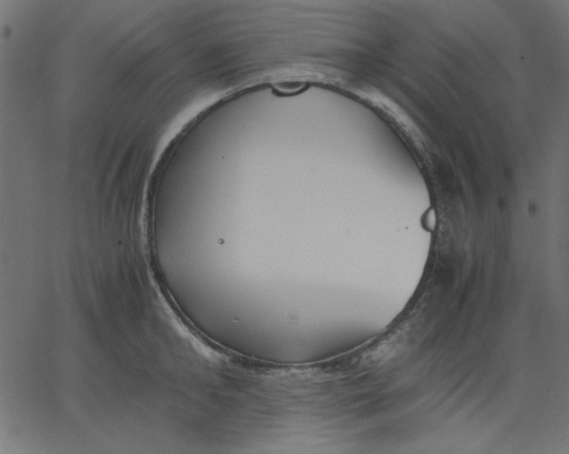 X0000067830902200604271551