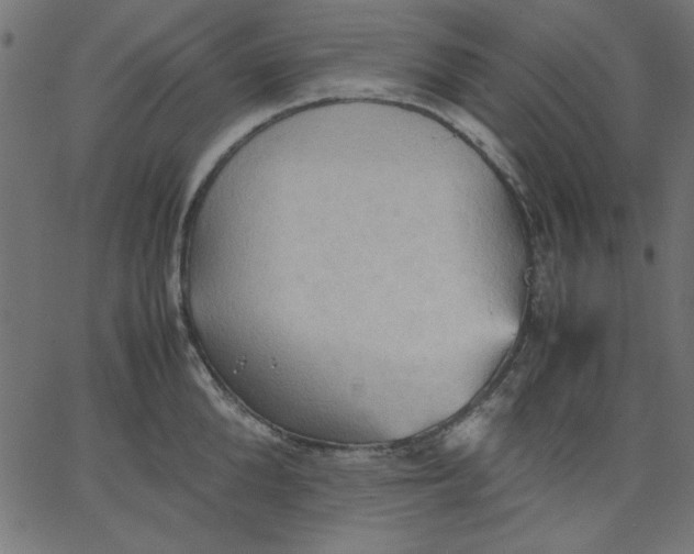 X0000067830904200604271551