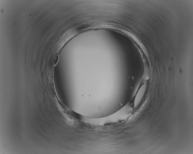 X0000067830905200604271551