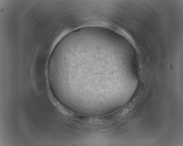 X0000067830907200604271551