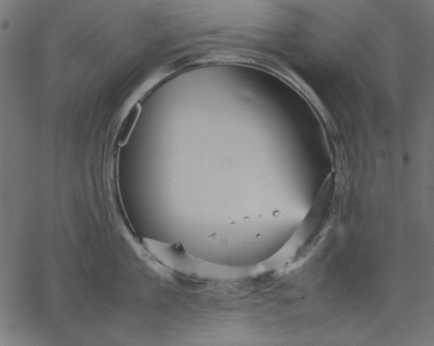 X0000067830909200604271551