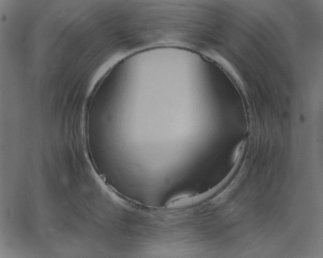 X0000067830910200604271551