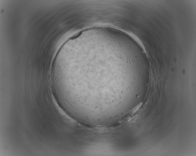 X0000067830911200604271551